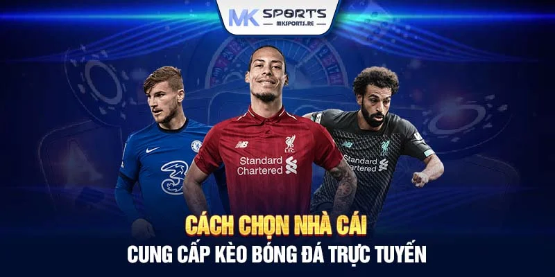 Cách chọn nhà cái cung cấp kèo bóng đá trực tuyến