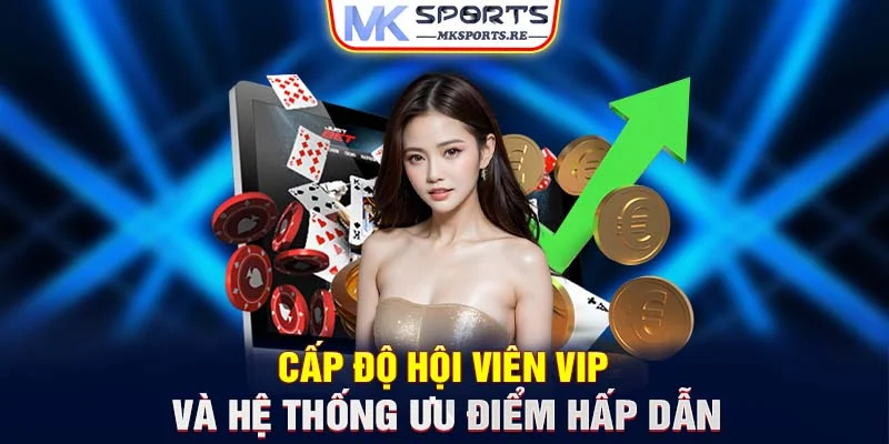 Cấp độ hội viên VIP và hệ thống ưu điểm hấp dẫn